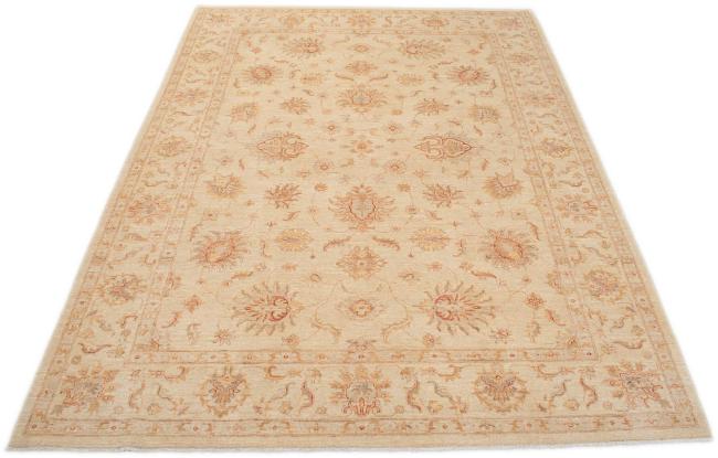 Ziegler Farahan - 3