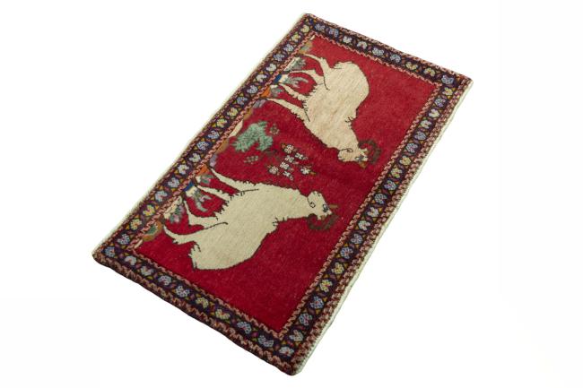 Shiraz - 2