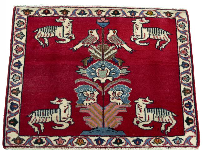 Shiraz - 3