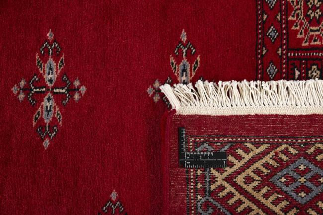 Pakistan Buchara 3ply - 1