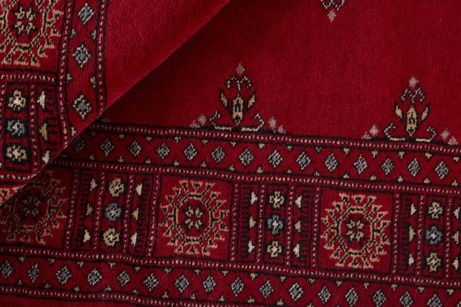Pakistan Buchara 3ply - 2