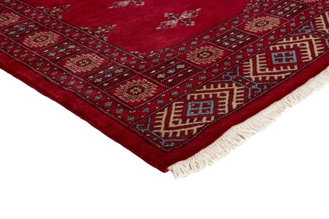Pakistan Buchara 3ply - 3