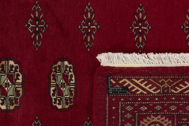 Pakistan Buchara 3ply - 1