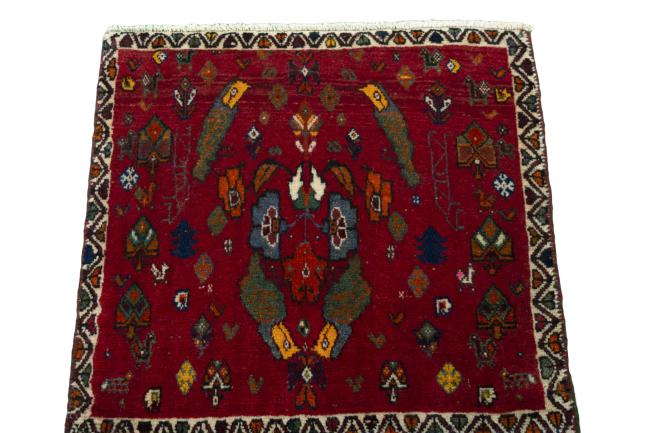 Shiraz - 3