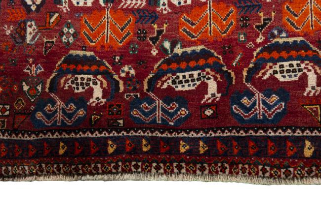 Shiraz - 5