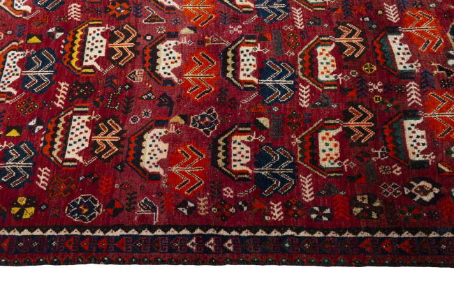 Shiraz - 6