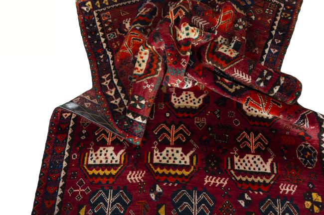 Shiraz - 8