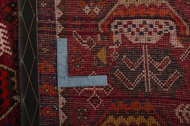 Shiraz - 9