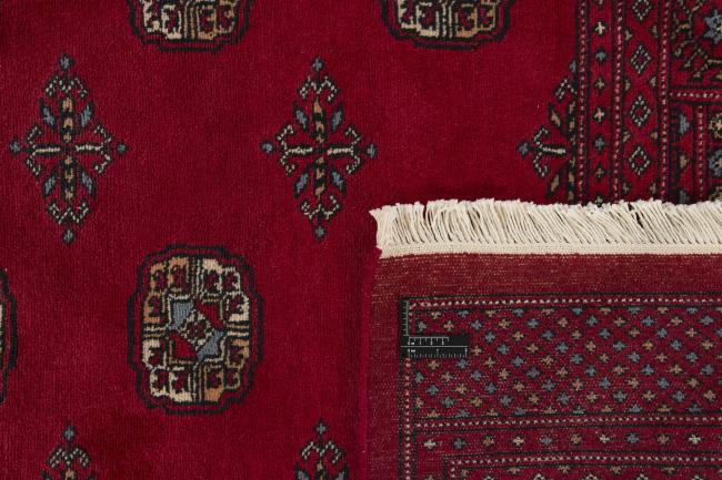 Pakistan Buchara 3ply - 1
