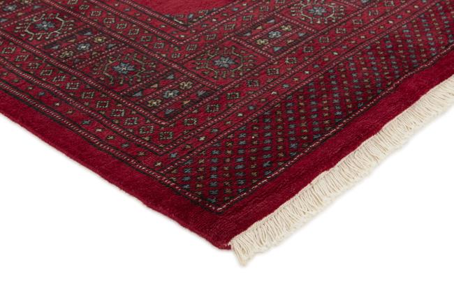 Pakistan Buchara 3ply - 3