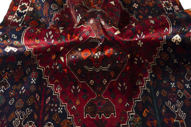 Shiraz - 8
