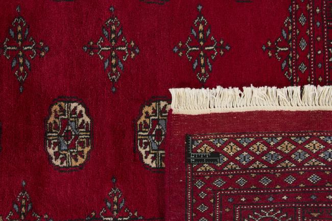 Pakistan Buchara 3ply - 1