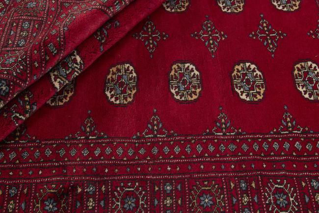 Pakistan Buchara 3ply - 2