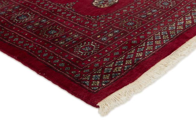 Pakistan Buchara 3ply - 3