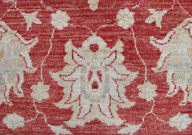 Ziegler Farahan Arijana - 10