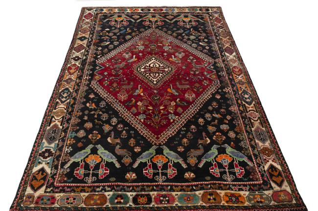Shiraz - 3