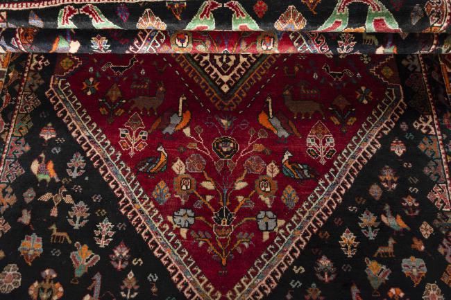 Shiraz - 8