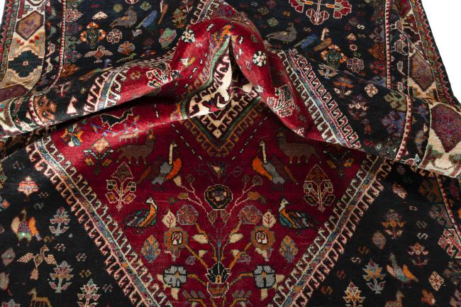 Shiraz - 9