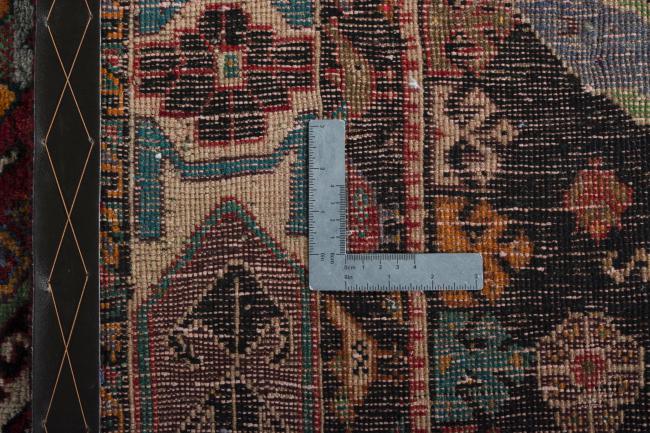 Shiraz - 10