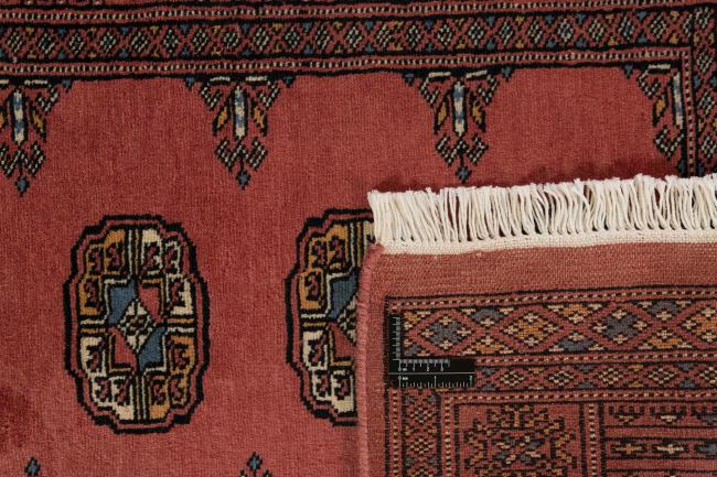 Pakistan Buchara 2ply - 1