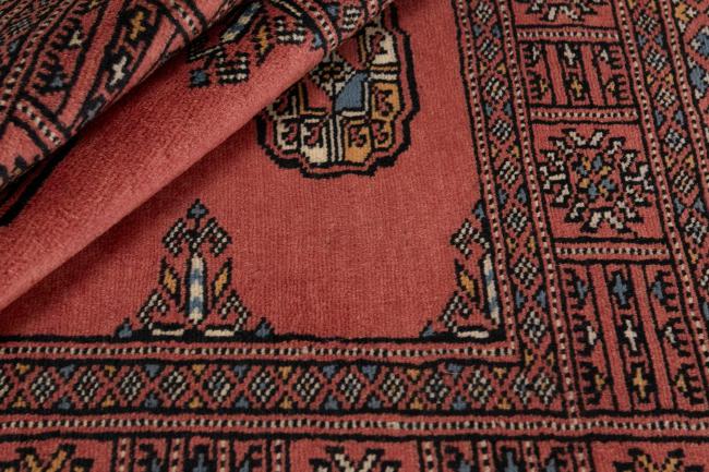 Pakistan Buchara 2ply - 2