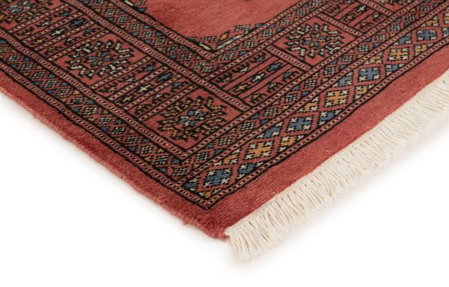 Pakistan Buchara 2ply - 3