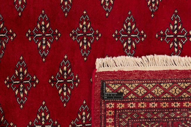 Pakistan Buchara 2ply - 1