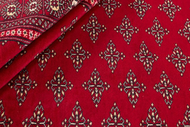 Pakistan Buchara 2ply - 2