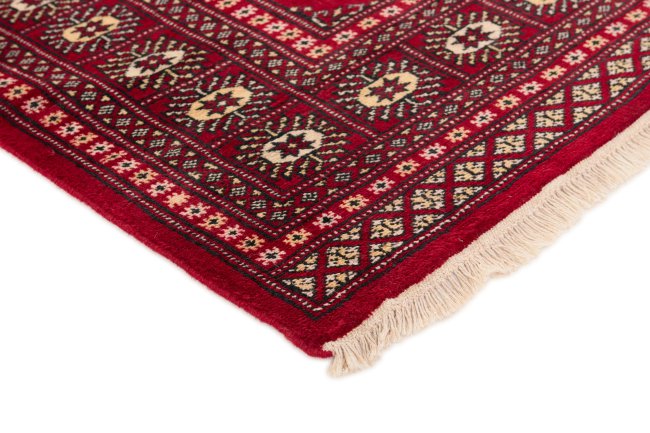 Pakistan Buchara 2ply - 3