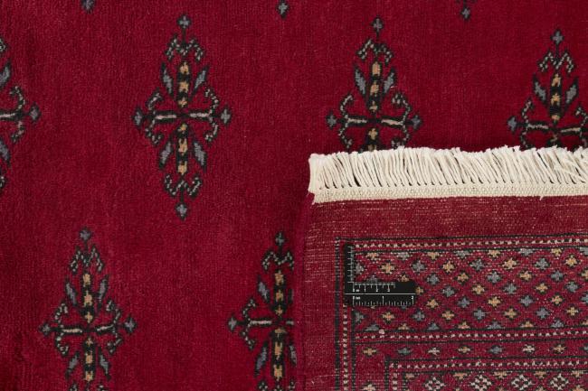 Pakisztáni Buchara 3ply - 1