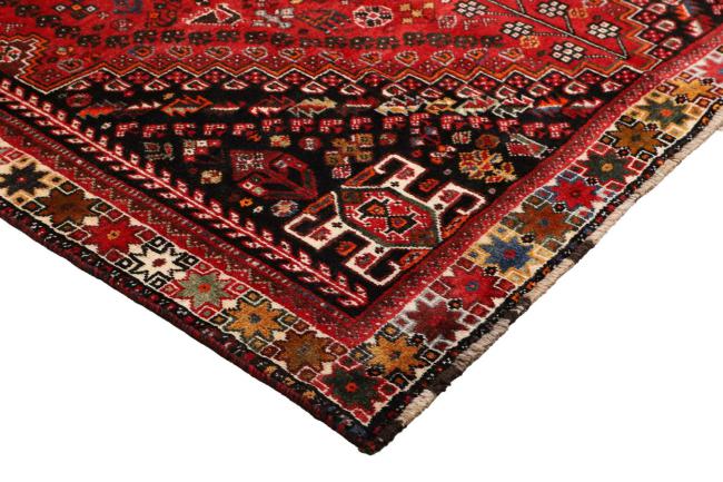 Shiraz - 6