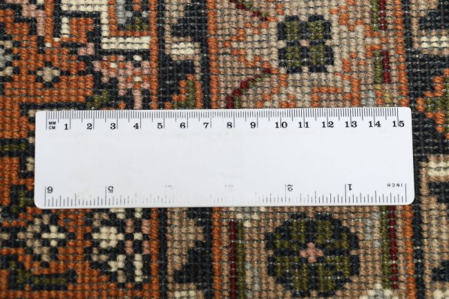 Indo Bidjar - 7