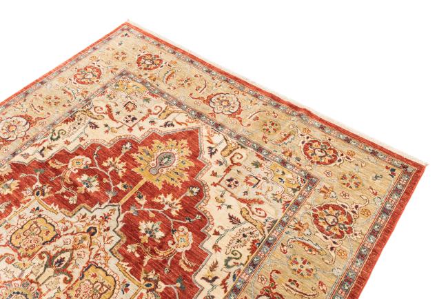 Ziegler Farahan - 3