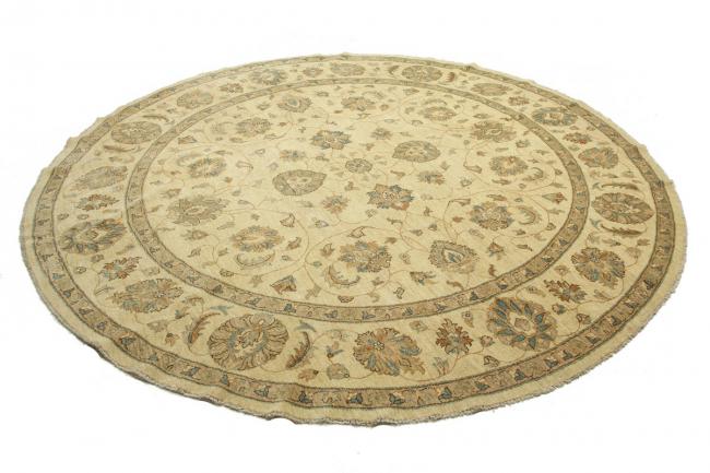 Ziegler Farahan - 2