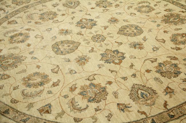 Ziegler Farahan - 1