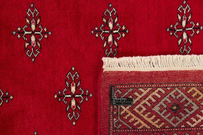 Pakistan Buchara 2ply - 1
