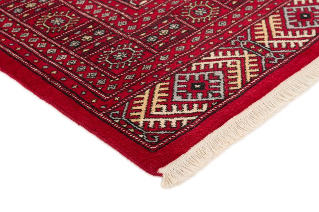 Pakistan Buchara 2ply - 3