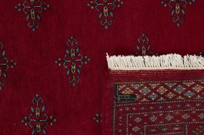 Pakistan Buchara 3ply - 1