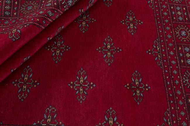 Pakistan Buchara 3ply - 2
