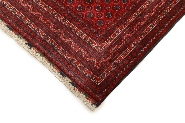 Afghan Mauri - 4