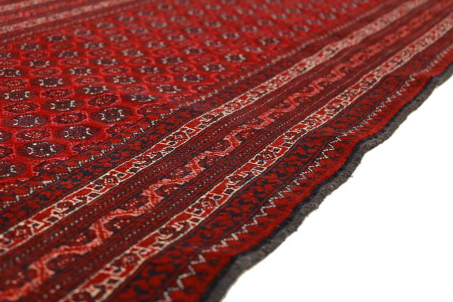 Afghan Mauri - 5