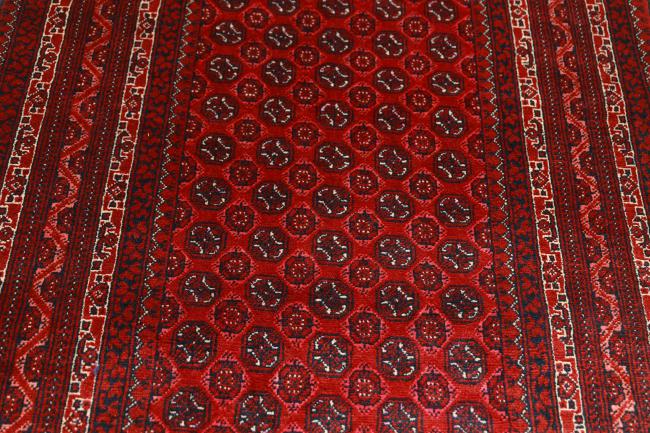 Afghan Mauri - 6