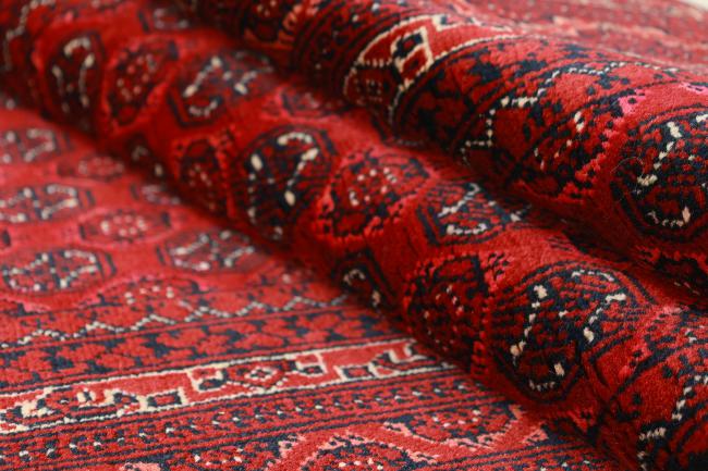 Afghan Mauri - 7