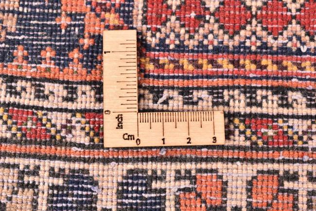 Μπαφτιάρ Nasrabad - 8