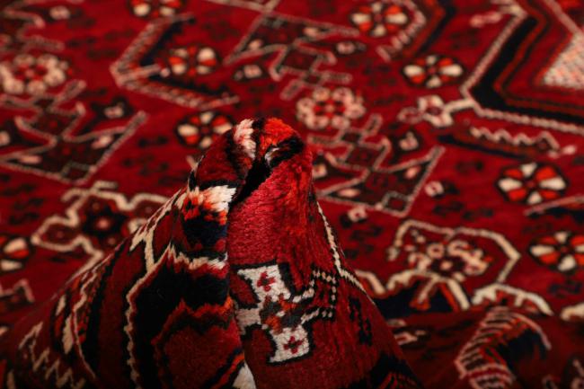 Shiraz - 10