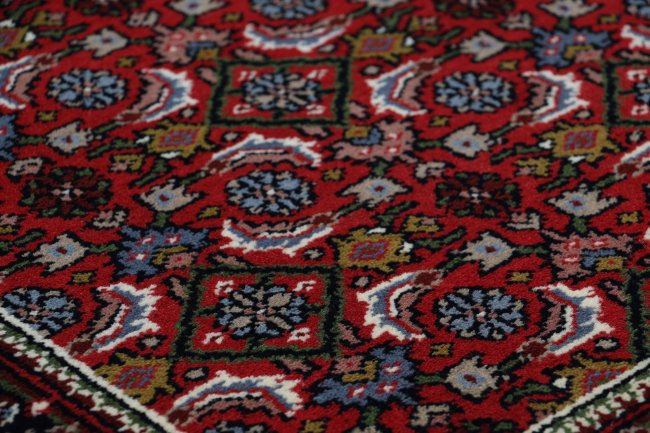 Indo Bidjar - 3