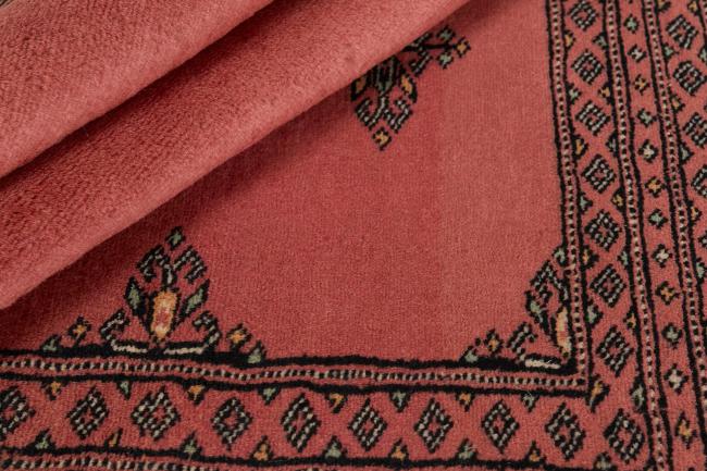 Pakistański Buchara 2ply - 2