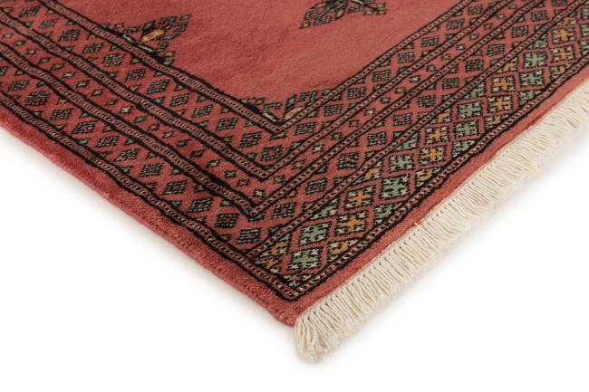 Pakistański Buchara 2ply - 3