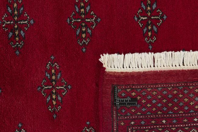 Pakistan Buchara 3ply - 1