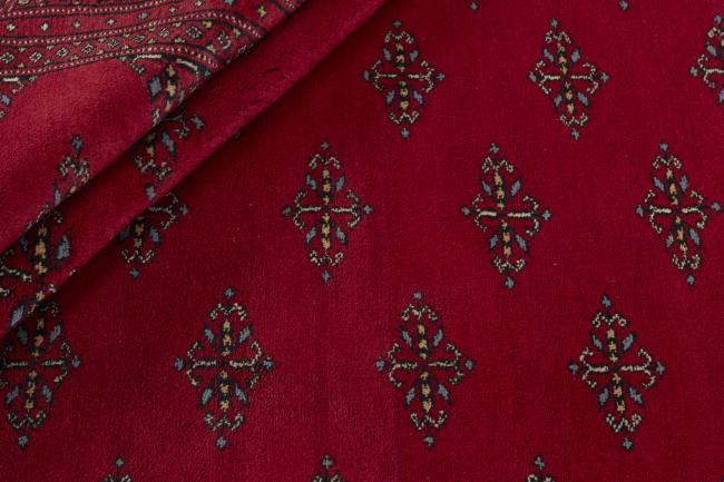 Pakistan Buchara 3ply - 2